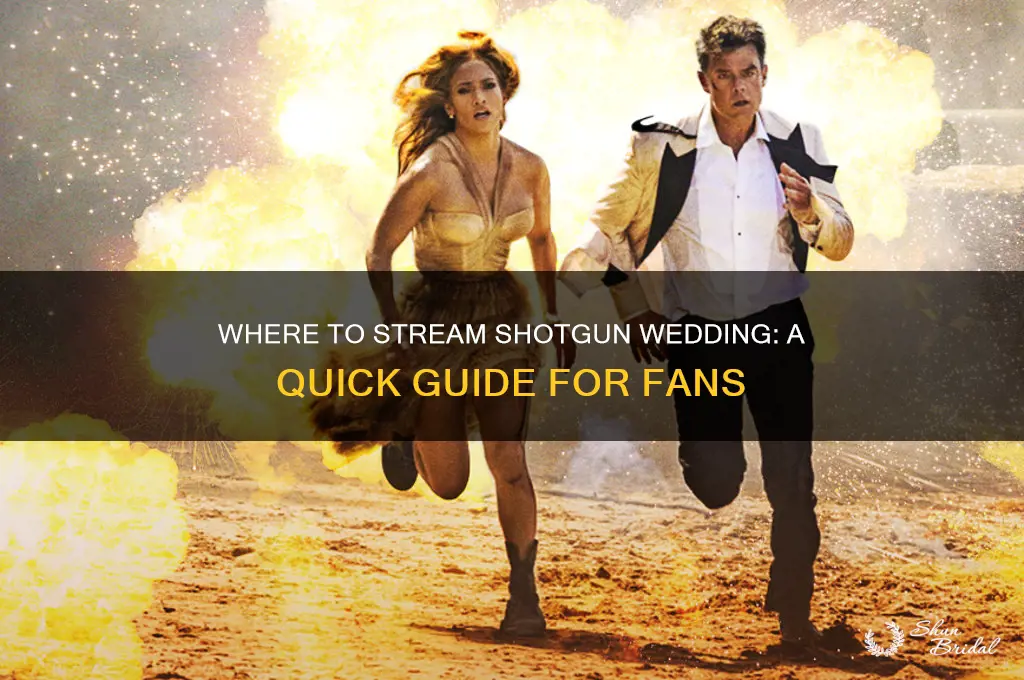 how do I watch shotgun wedding