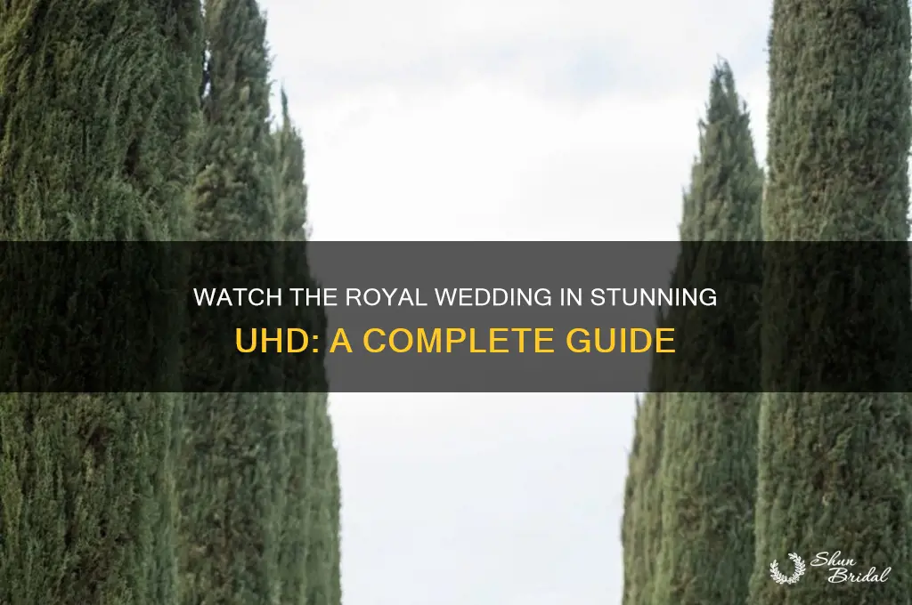 how do i watch the royal wedding in uhd