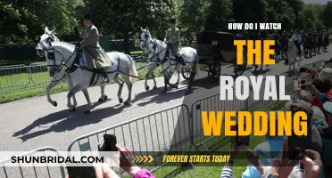 Your Ultimate Guide to Watching the Royal Wedding Live