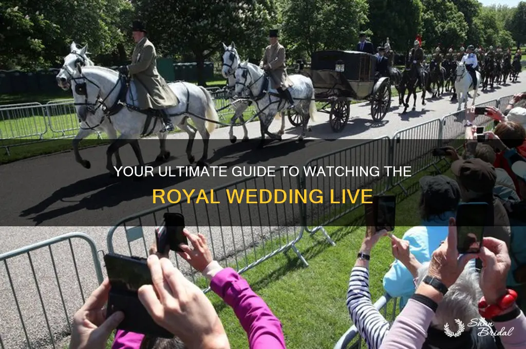 how do i watch the royal wedding