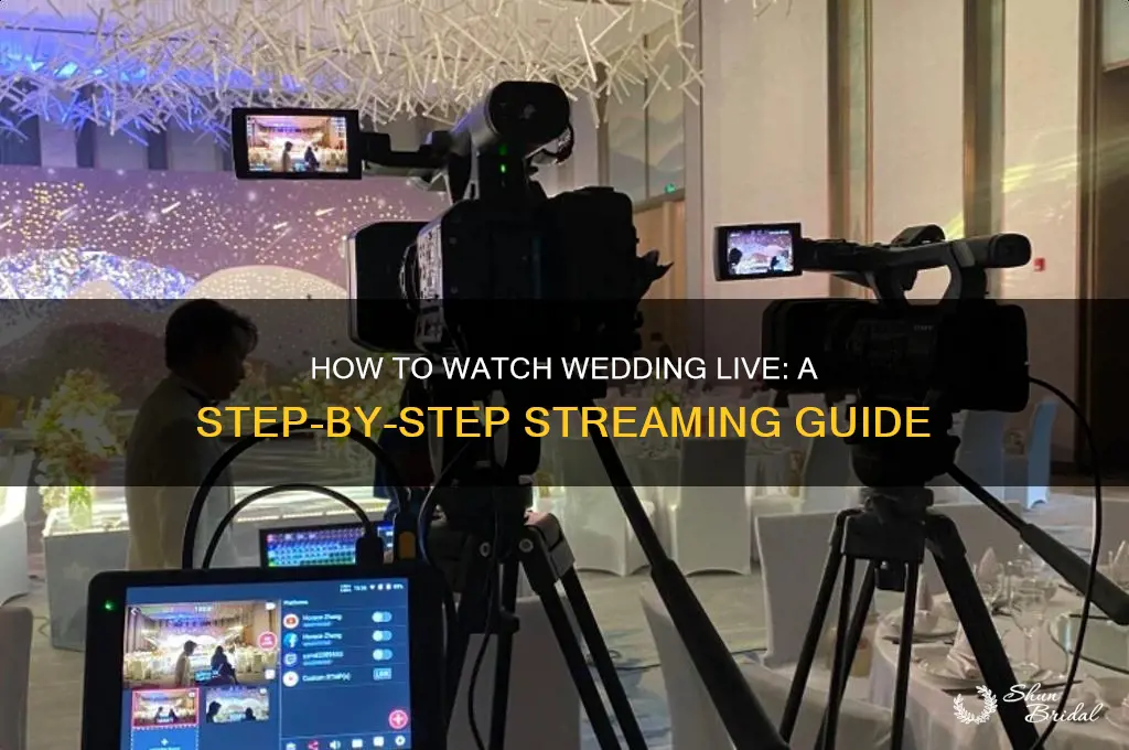 how do I watch wedding live