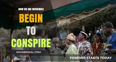 Unveiling the Intricate Traditions of Ibo Wedding Conspiracies