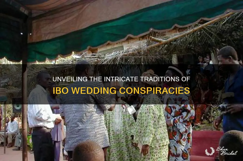 how do ibo weddings begin to conspire