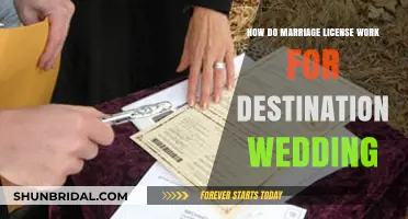 Destination Wedding Marriage License: A Complete Guide for Couples