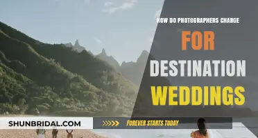 Destination Wedding Photography: Customized Packages and Pricing