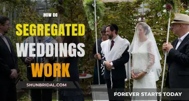 Segregated Weddings Explained: Traditions, Logistics, and Cultural Insights