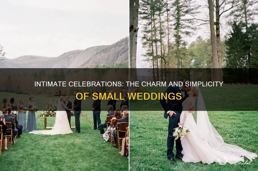 how do small weddings go