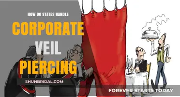 Corporate Veil Piercing: How States Navigate Legal Boundaries in Business