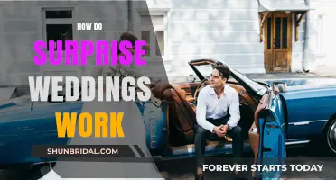 Surprise Weddings Unveiled: Planning, Execution, and Unforgettable Moments Explained