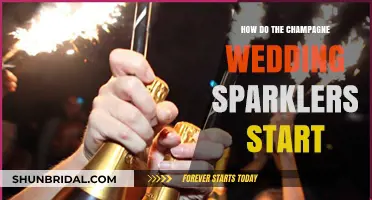 Champagne Wedding Sparklers: The Magical Start to Your Celebration