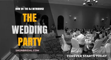 Mastering the Art of Introducing the Wedding Party as a DJ