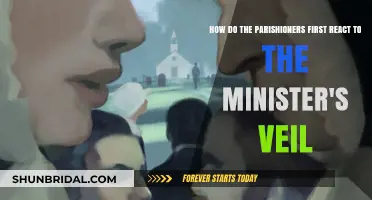 The Minister's Veil: Parishioners' Initial Reactions and Intrigue