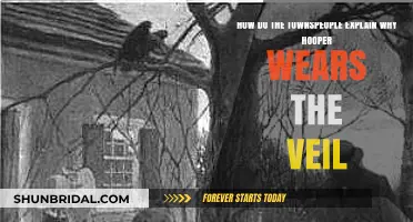 Unveiling Mystery: Townspeople's Theories on Hooper's Veil