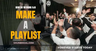 Wedding DJs: Curating the Perfect Playlist