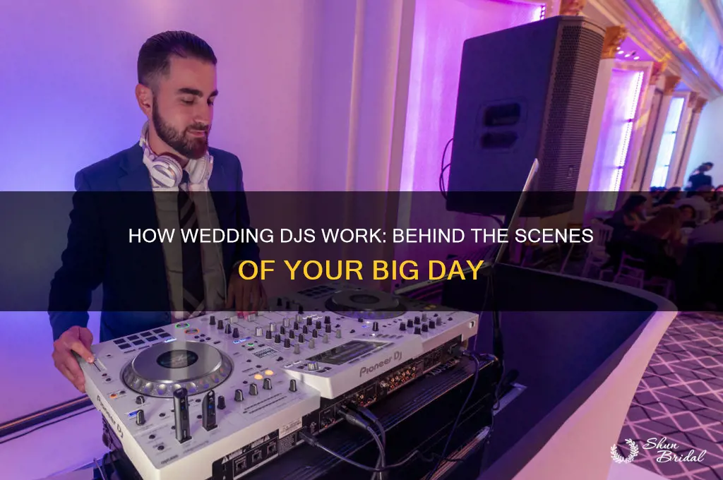 how do wedding djs work