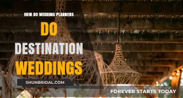 Destination Wedding Mastery: Secrets of Successful Wedding Planners