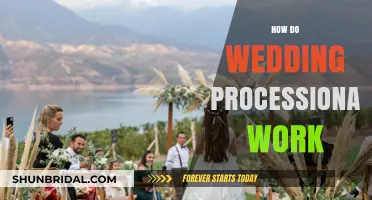 Understanding Wedding Processionals: A Step-by-Step Guide to the Ceremony Entrance