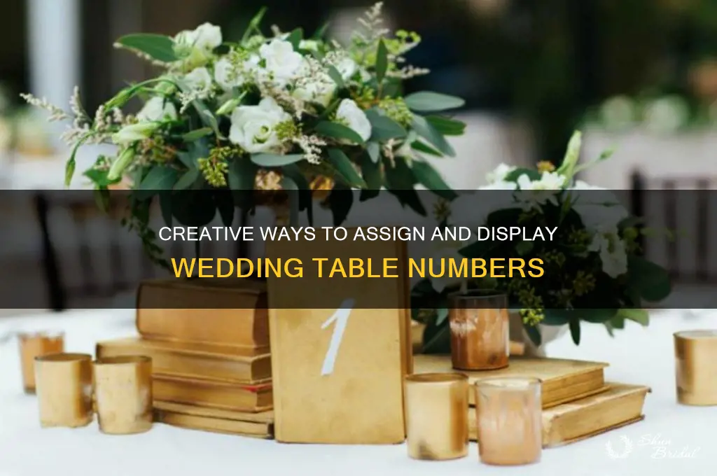 Creative Ways To Assign And Display Wedding Table Numbers | ShunBridal
