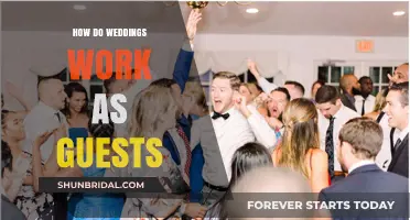 Wedding Guest Guide: Etiquette, Attire, and Enjoying the Celebration