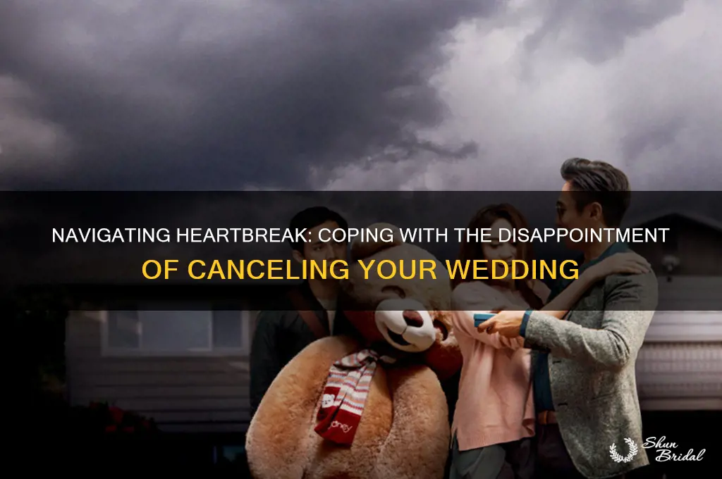 how do yo deal withthe edissapointment of canceling a wedding