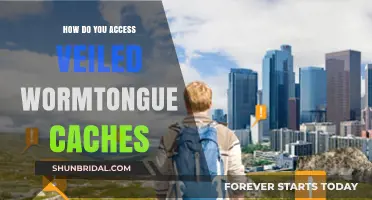 Unveiling Secrets: Locales and Strategies for Wormtongue Cache Access