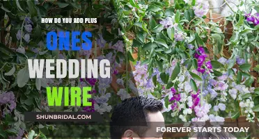 Adding Plus Ones to Your Wedding Guest List on WeddingWire