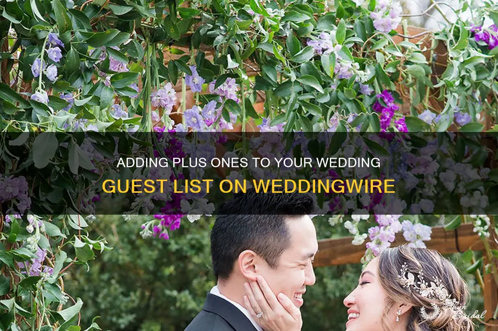 how do you add plus ones wedding wire