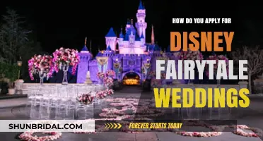 Your Guide to Applying for a Disney Fairytale Wedding