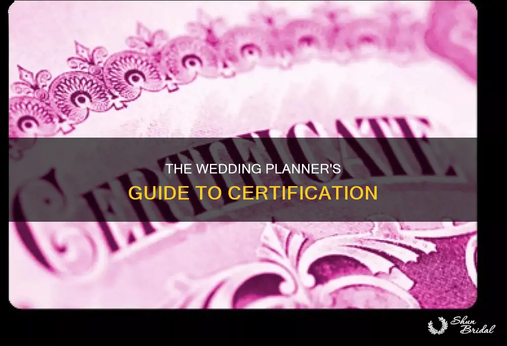 how do you become a certified wedding planner