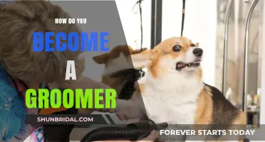 From Passion to Profession: Your Guide to Becoming a Groomer