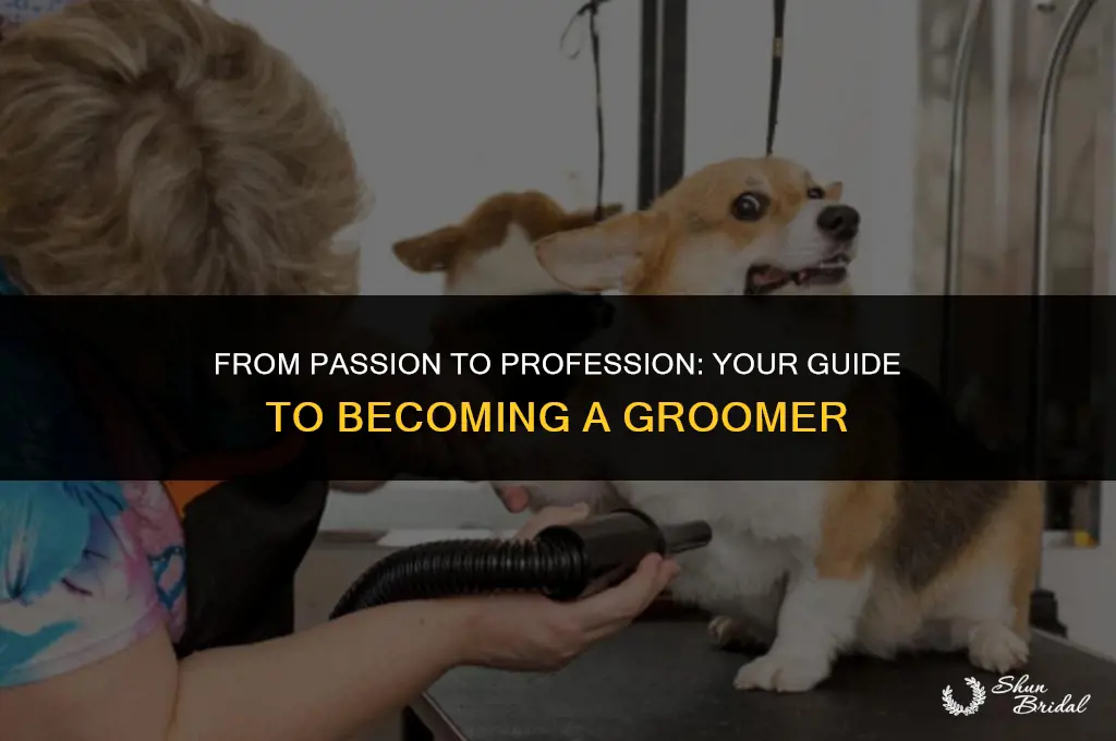 how do you become a groomer