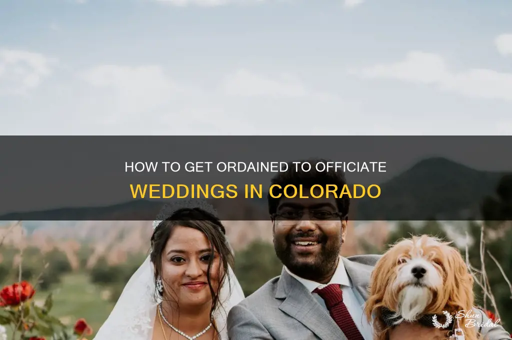 how do you become ordained to perform weddings in colorado