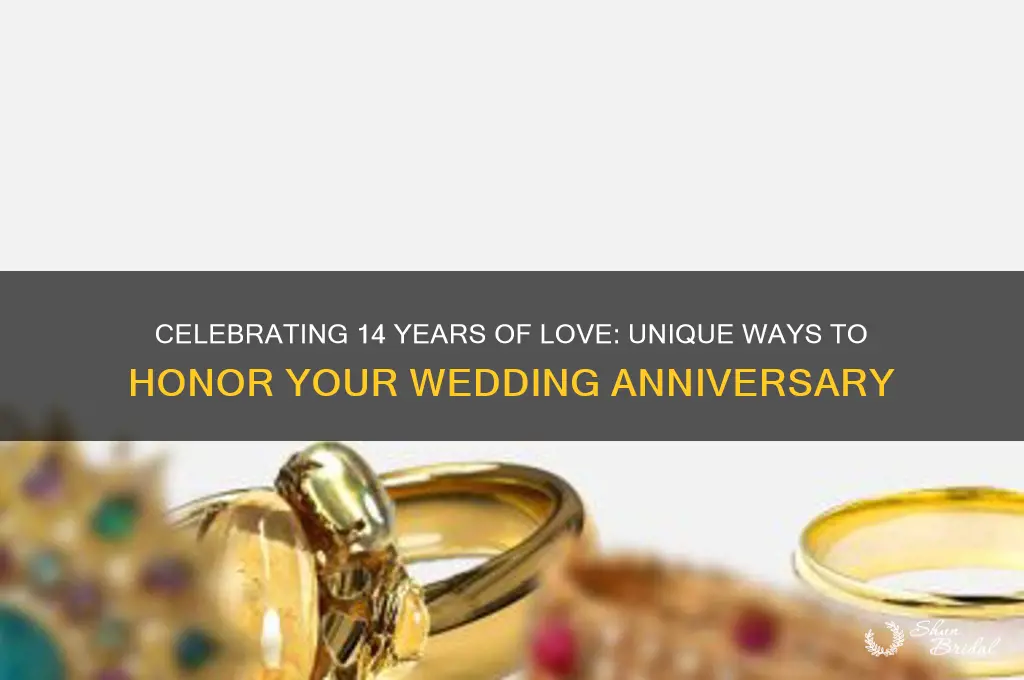 how do you celebrate your 14th wedding anniversary