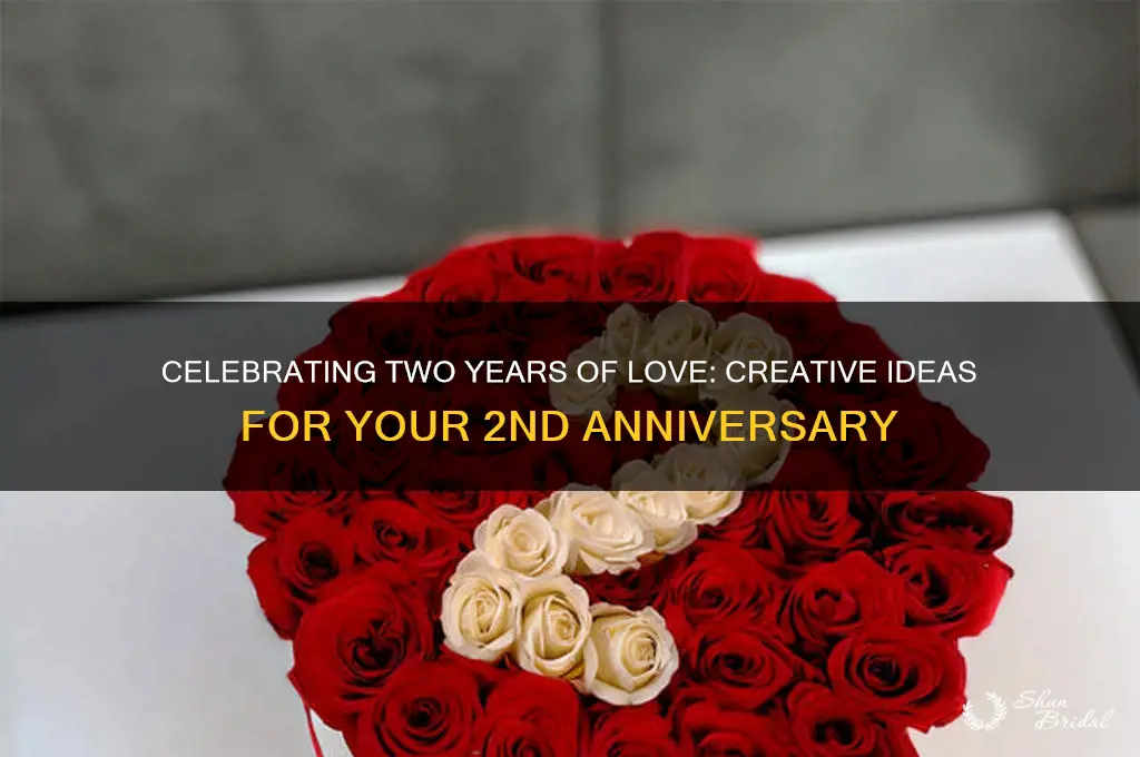 how do you celebrate your 2nd wedding anniversary
