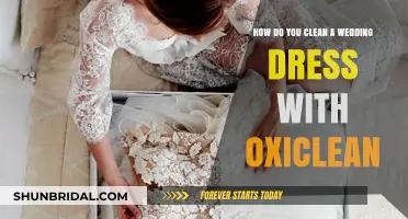The Best Way to Clean a Wedding Dress with OxiClean