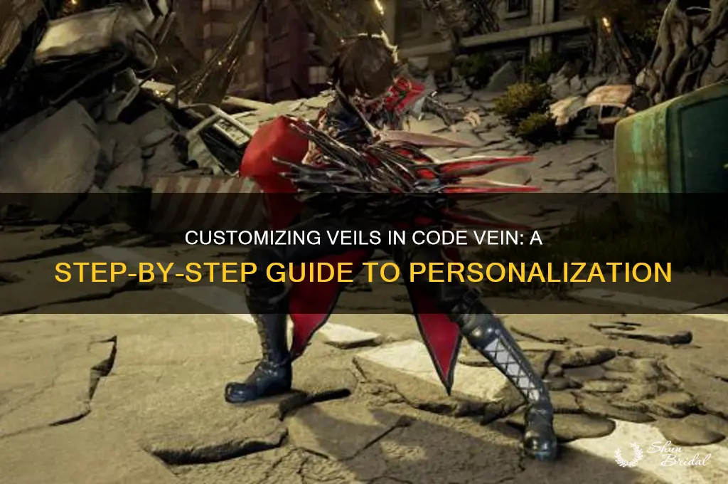 how do you customise veils code vein