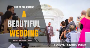 Captivating Moments: Describing the Timeless Beauty of a Perfect Wedding
