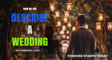 Capturing the Magic: A Guide to Describing Your Dream Wedding