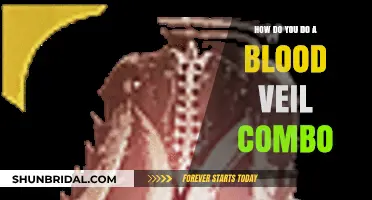 Mastering the Blood Veil Combo: A Step-by-Step Guide for Gamers
