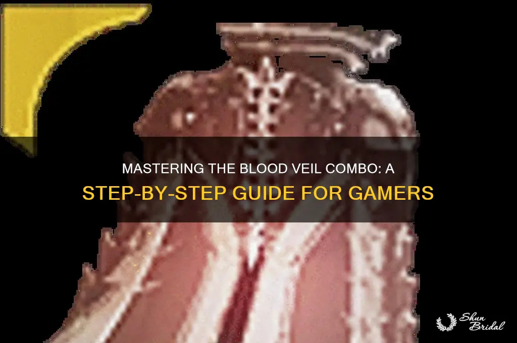 how do you do a blood veil combo