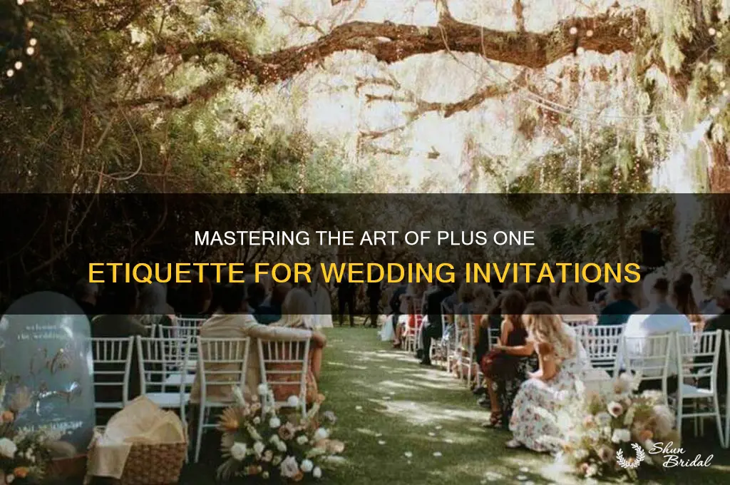 how do you do plus 1 for a wedding