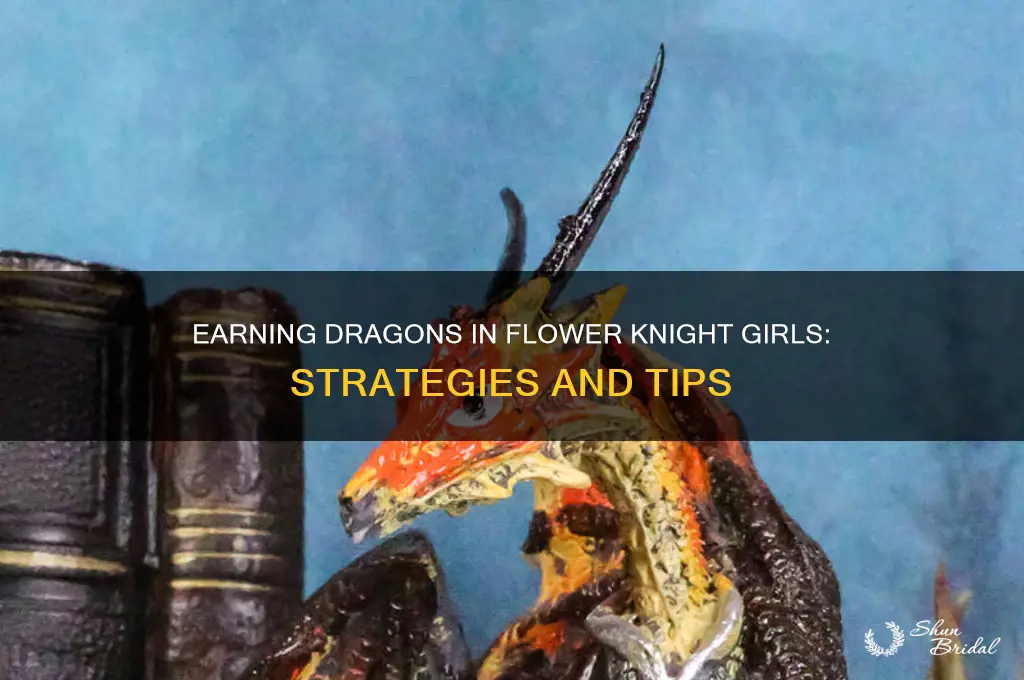 how do you earn dragons in flower knight girls
