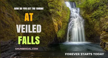 Discovering the Veiled Falls Shrine: A Step-by-Step Guide to Accessing the Hidden Treasure