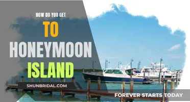 Honeymoon Island: A Guide to Getting There and Back