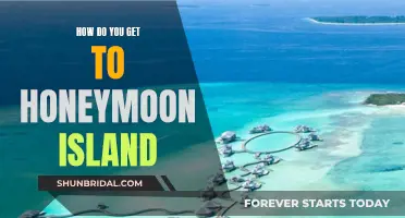 Honeymoon Island: A Guide to Getting There