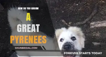 Mastering the Art of Grooming Your Great Pyrenees: A Comprehensive Guide