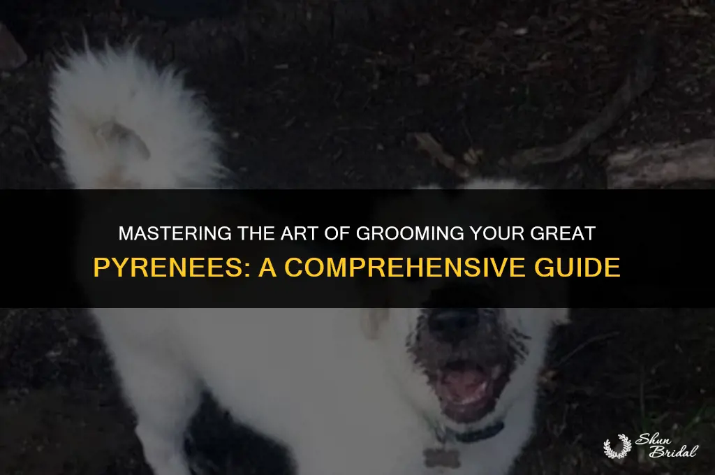 how do you groom a great pyrenees