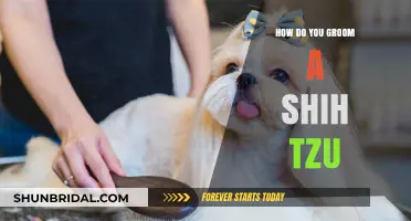 Mastering Shih Tzu Grooming: A Comprehensive Guide for Pet Owners
