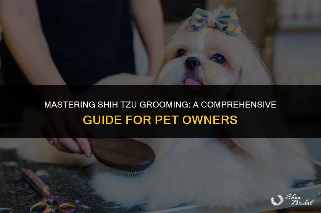 how do you groom a shih tzu