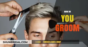 Mastering the Art of Grooming: A Comprehensive Guide